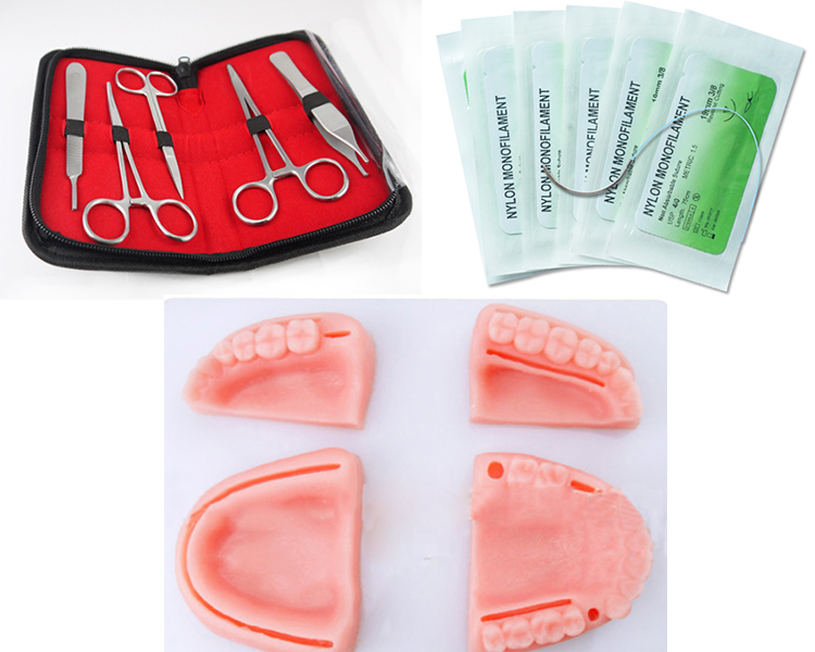 TM-SPK01 Dental Suture Practice Kit